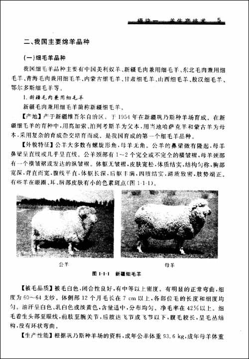 養羊與羊病防治（畜牧獸醫專業用）