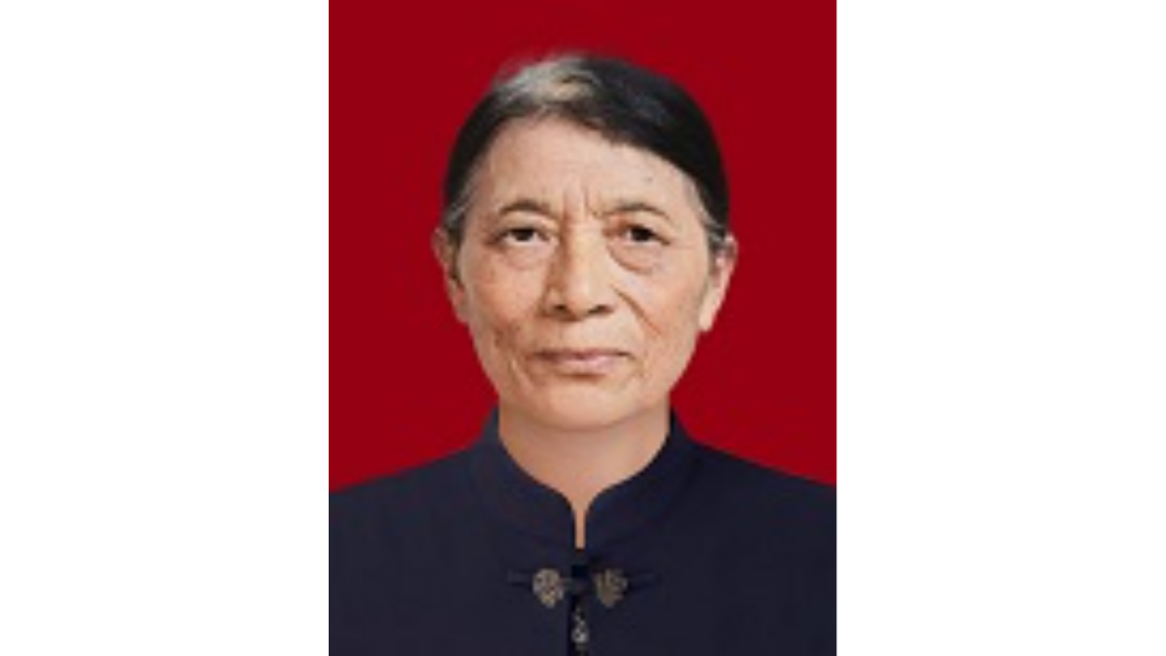 胡曉雯(黃山市黟縣西遞鎮西遞村村民)