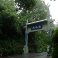 楊梅嶺 楊梅嶺