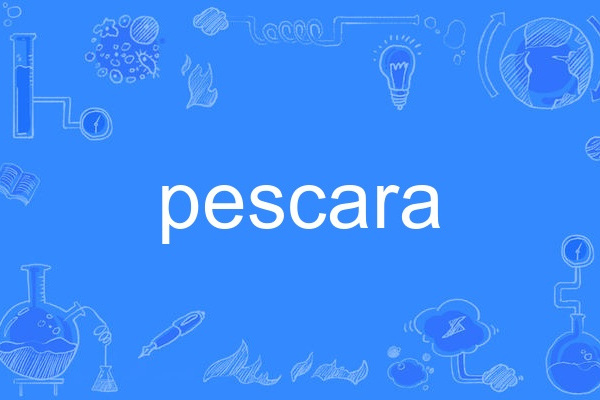 pescara pescara