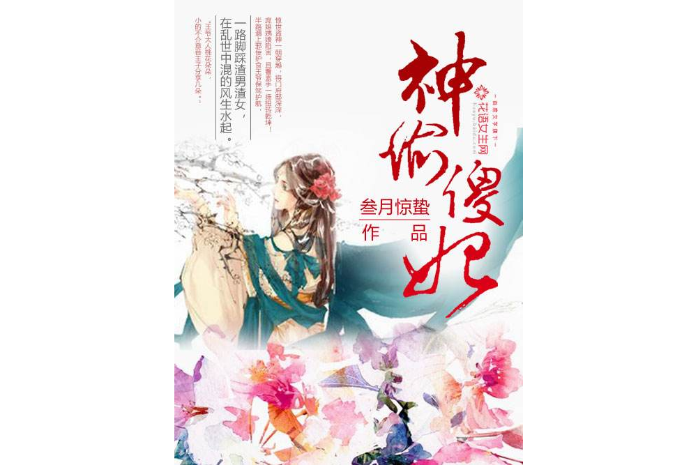 神偷傻妃 神偷傻妃