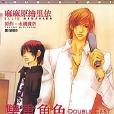 雙重角色DOUBLE CAST 雙重角色DOUBLE CAST