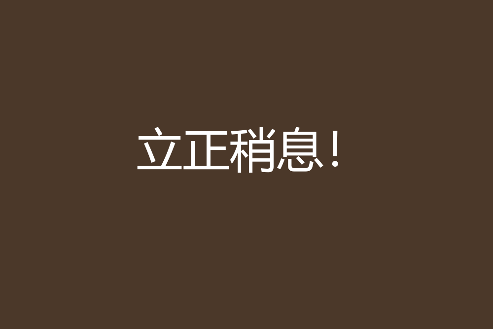 立正稍息! 立正稍息!