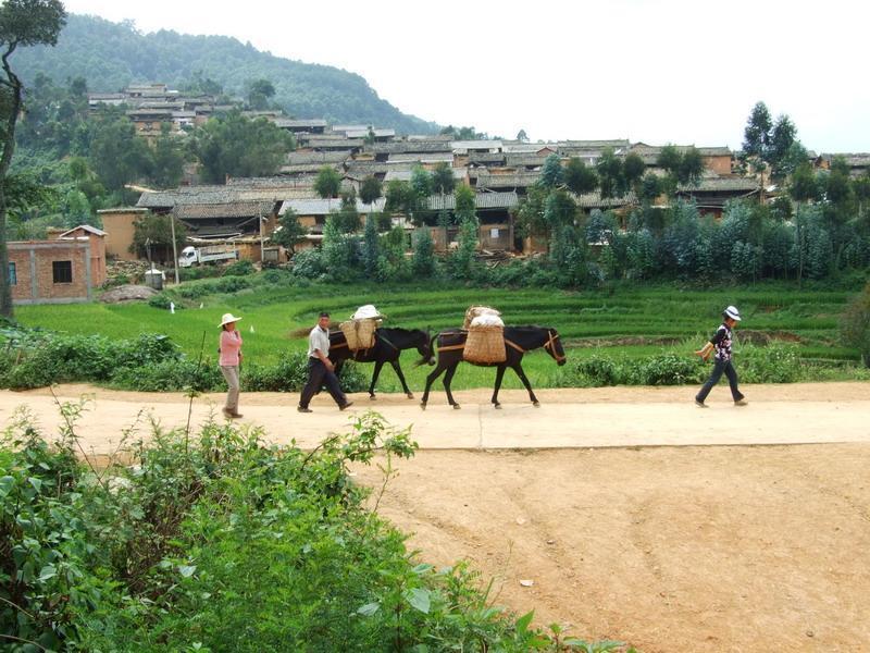 阿魯自然村 阿魯自然村