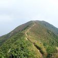 雞公嶺(香港山峰) 雞公嶺(香港山峰)