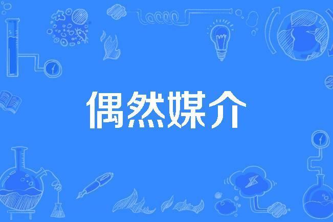 偶然媒介 偶然媒介