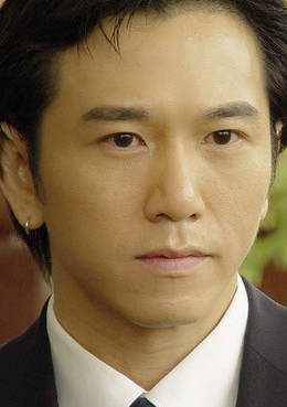 無國界行動(2006年穀錦雲執導電視劇)