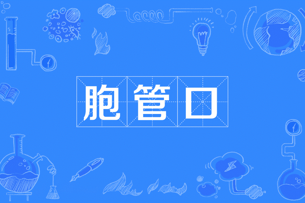 胞管口 胞管口