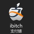 支付婊 支付婊