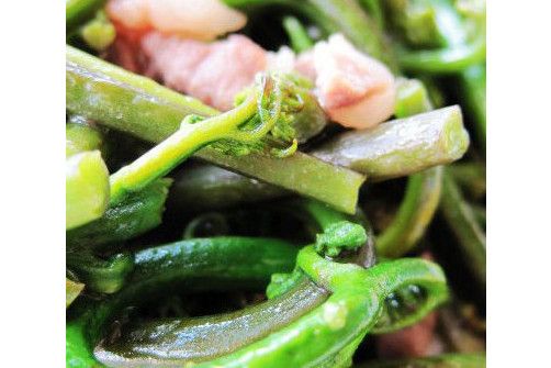 蕨菜炒肉沫