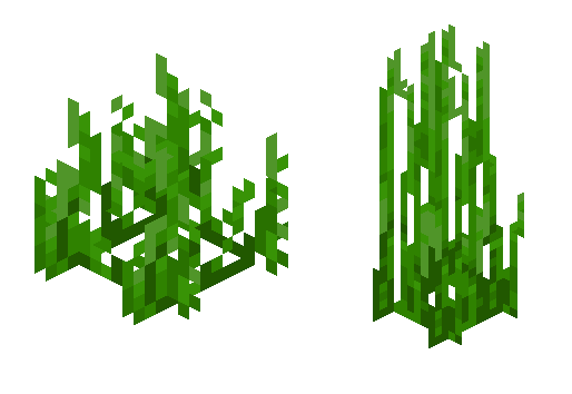 海草(Minecraft中的一種物品) 海草(Minecraft中的一種物品)