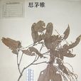 思茅錐 思茅錐