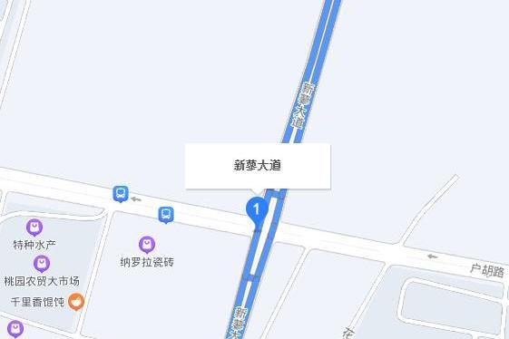 新蓼大道