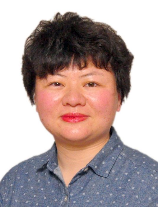 周蕾(湖南大學外國語學院講師) 周蕾(湖南大學外國語學院講師)