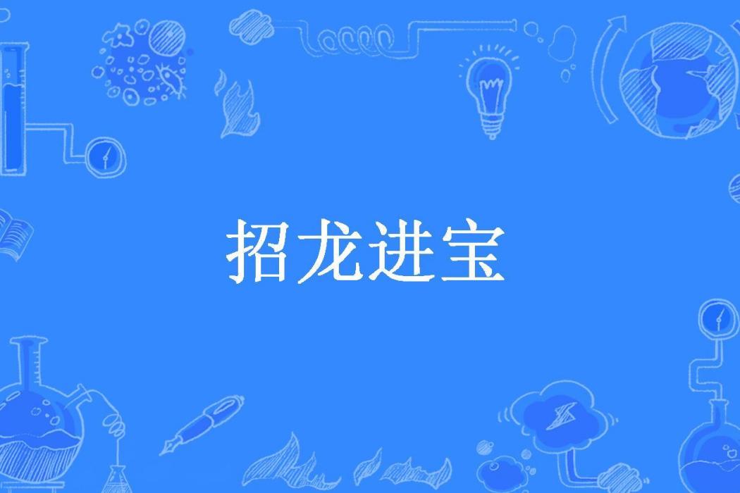 招龍進寶(笙別離所著小說)