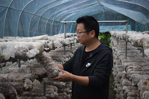 李挺(中國石油集團測井有限公司青海分公司副經理) 李挺(中國石油集團測井有限公司青海分公司副經理)