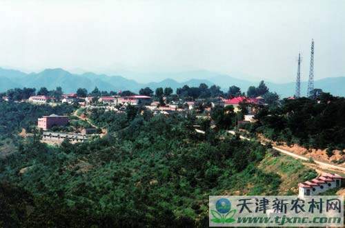 青山嶺村