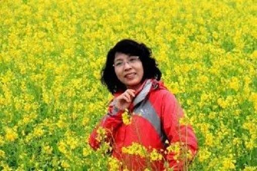 王艷霞(東北大學秦皇島分校副教授) 王艷霞(東北大學秦皇島分校副教授)