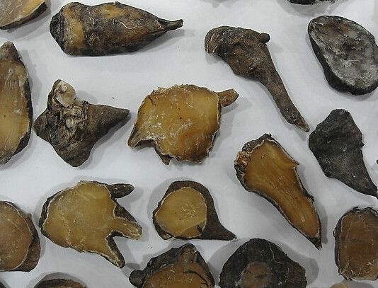 附子(黑順片) 附子(黑順片)