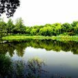 榴花公園 榴花公園