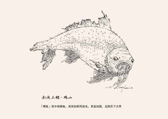 鱄魚 鱄魚