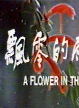 江明 江明