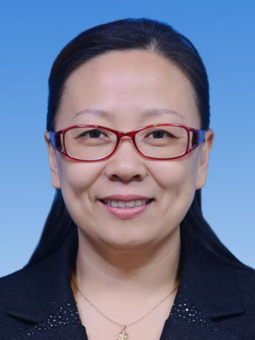劉小紅(北京市石景山區委八角街道工作委員會委員) 劉小紅(北京市石景山區委八角街道工作委員會委員)