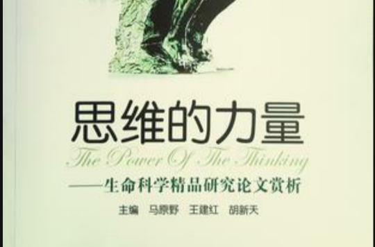思維的力量(2010年雲南科技出版社出版圖書)
