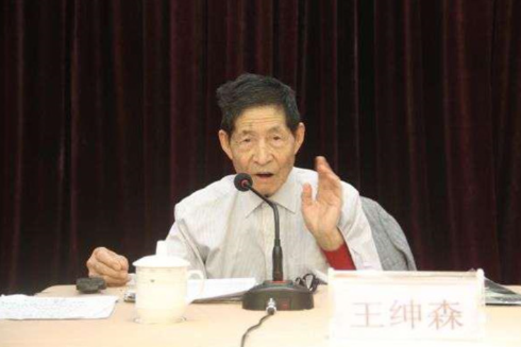 王紳森 王紳森