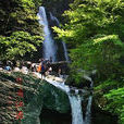 龍王山(江西省贛州市龍王山) 龍王山(江西省贛州市龍王山)