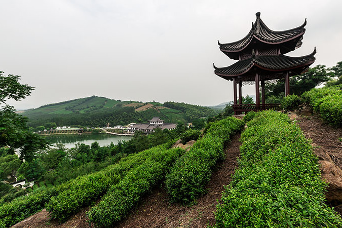 橫塘小村 橫塘小村