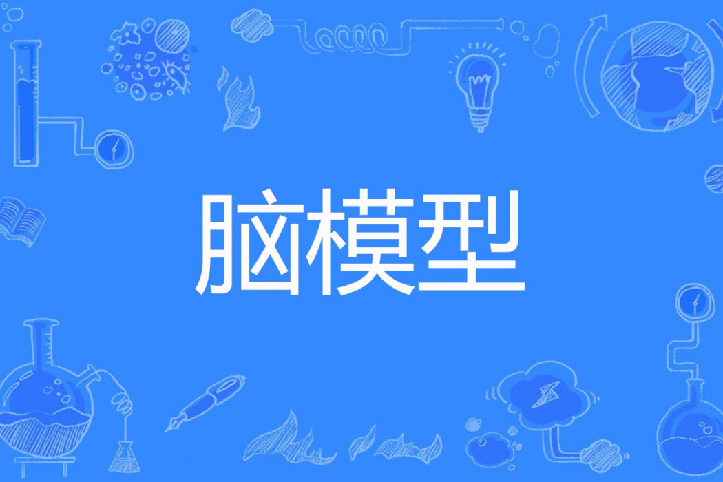 腦模型 腦模型