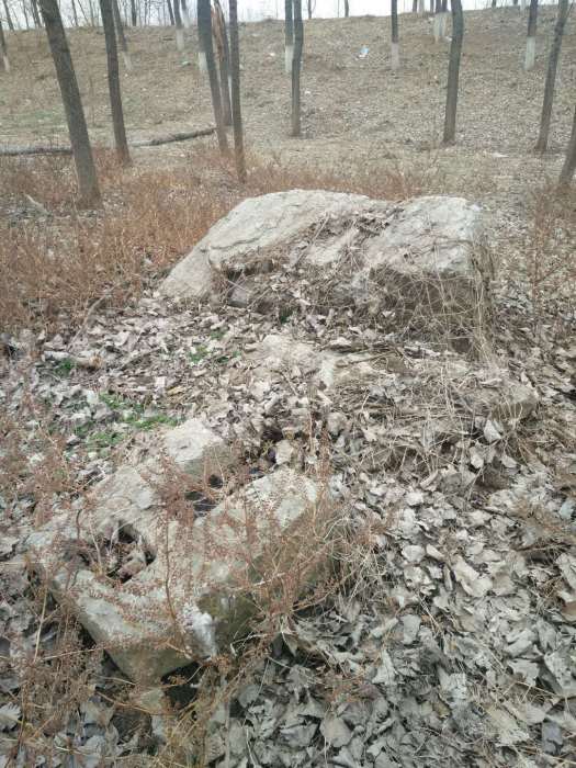 葛家廟遺址 葛家廟遺址