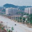 永州大道 永州大道