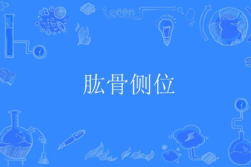 肱骨側位 肱骨側位