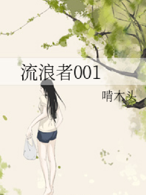 流浪者001 流浪者001