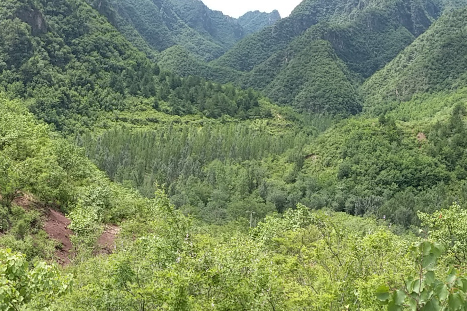 十里江湖 十里江湖