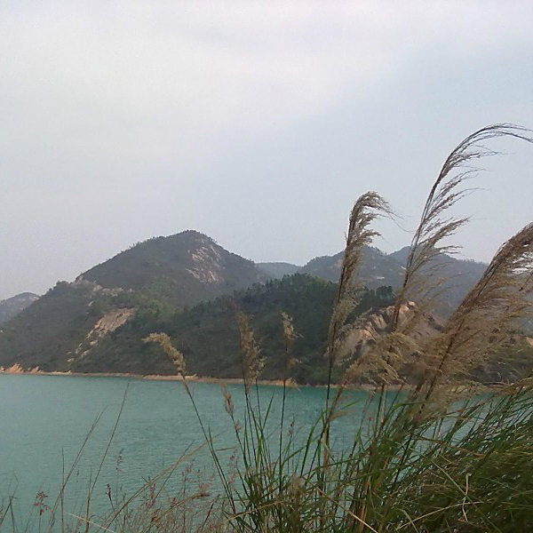 正坑水庫 正坑水庫