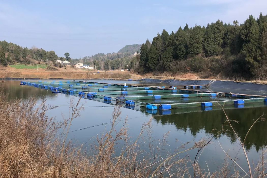 依山村(四川省廣元市劍閣縣鹽店鎮下轄村) 依山村(四川省廣元市劍閣縣鹽店鎮下轄村)