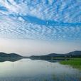 化家湖遺址 化家湖遺址