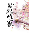 男妃難寵 男妃難寵