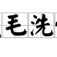 伐毛洗髓 伐毛洗髓