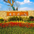 陽陂湖 陽陂湖