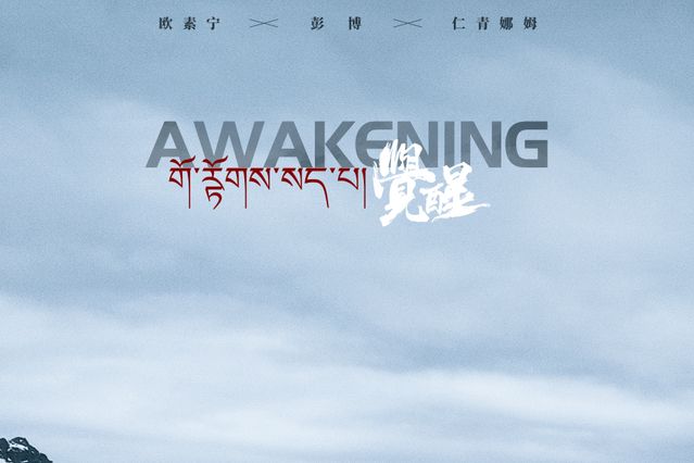 覺醒(2020年彭博主演電影) 覺醒(2020年彭博主演電影)