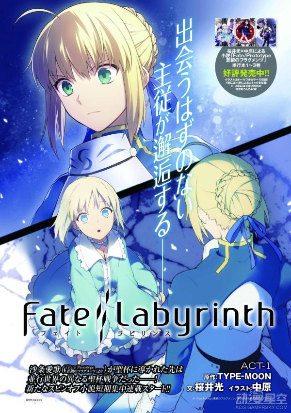 《Fate/Labyrinth》