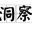 洞察(漢語詞語) 洞察(漢語詞語)