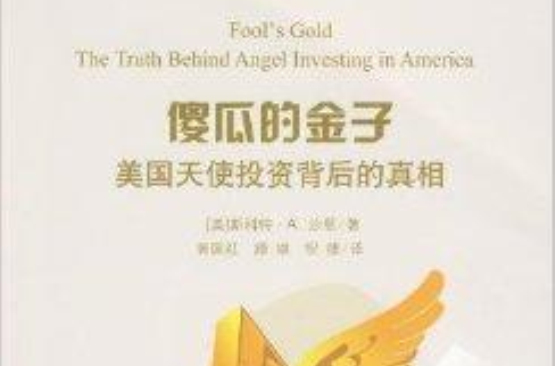 傻瓜的金子：美國天使投資背後的真相