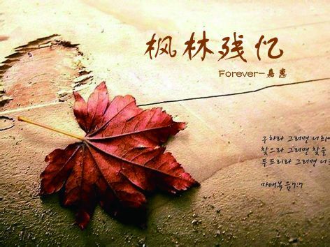 楓林殘憶 楓林殘憶