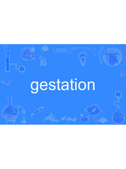 Gestation Gestation