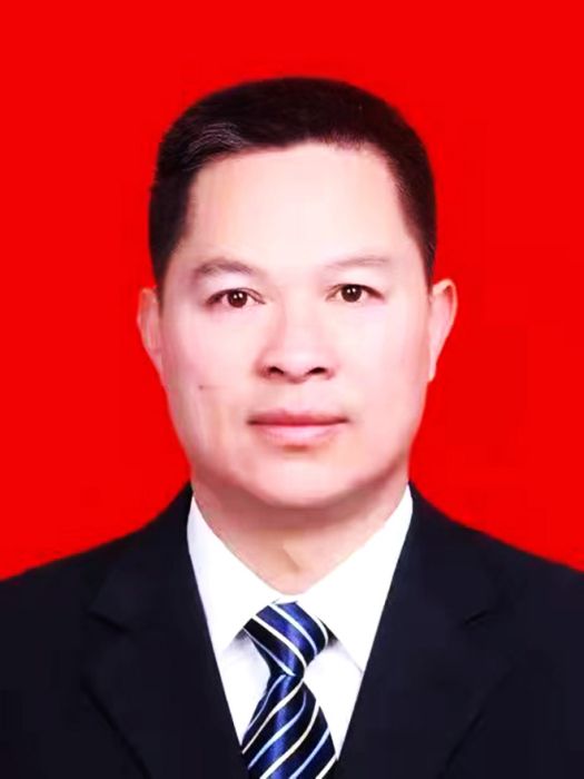 雷小林(湖南省郴州市桂陽縣人大常委會黨組成員) 雷小林(湖南省郴州市桂陽縣人大常委會黨組成員)